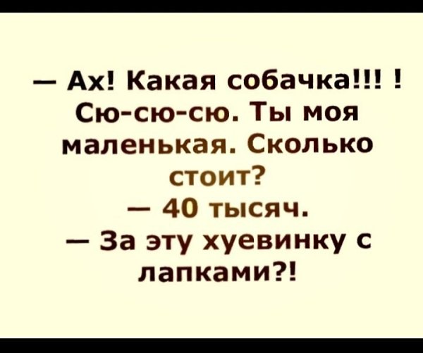  - 13  2023  13:43