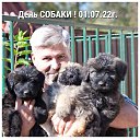 ���� ����, �����-��������� - ��������� 6 ������ 2022 � ������ ������ ��������