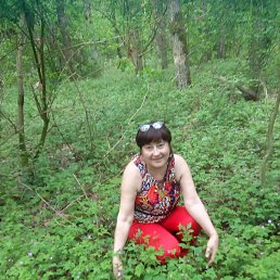 �����, �����������, 65 ���