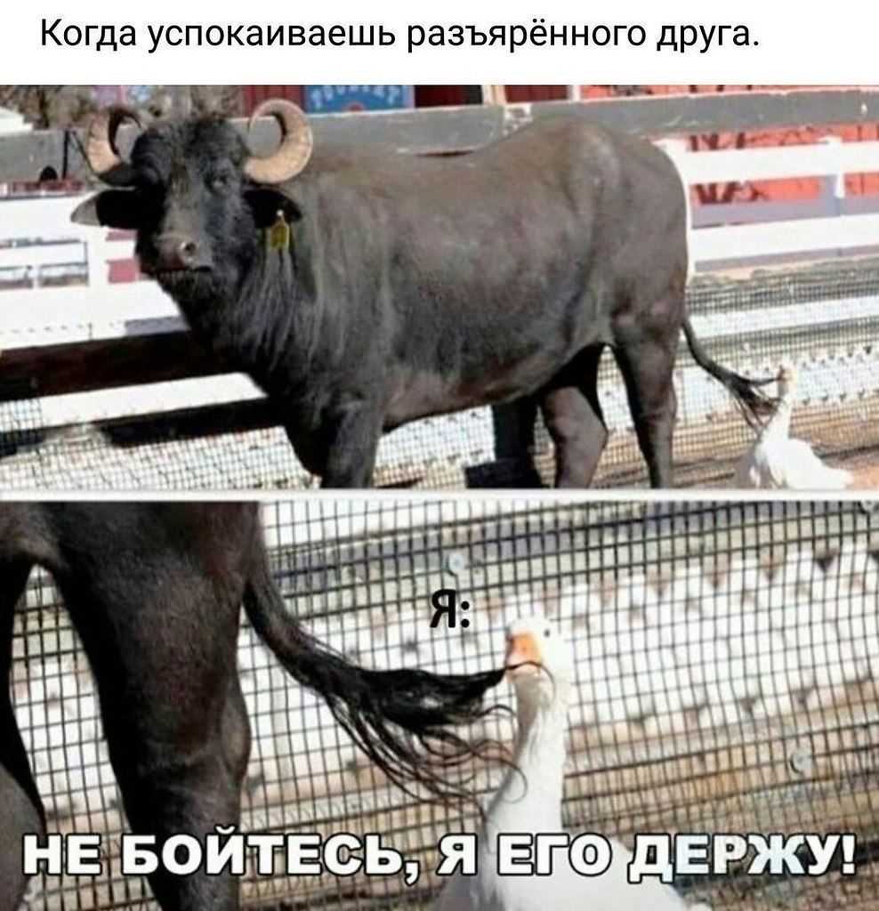    - 26  2022  17:36