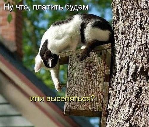    - 4  2022  11:37