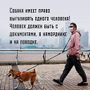 ���� ������, ������-��-����, 54 ���� - ��������� 14 ������ 2022 � ������ ����� �����!!! ���������