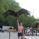 ���� �������, ������, 43 ���� - ��������� 5 ������ 2022