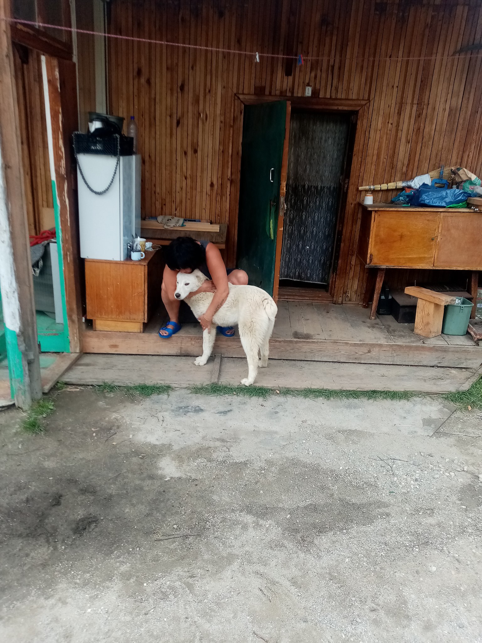 ***Victoria Viktorovna*** - 4  2022  10:28