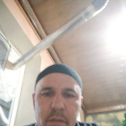 , 37, 