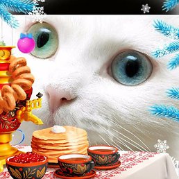 �������, ��������, 53 ����