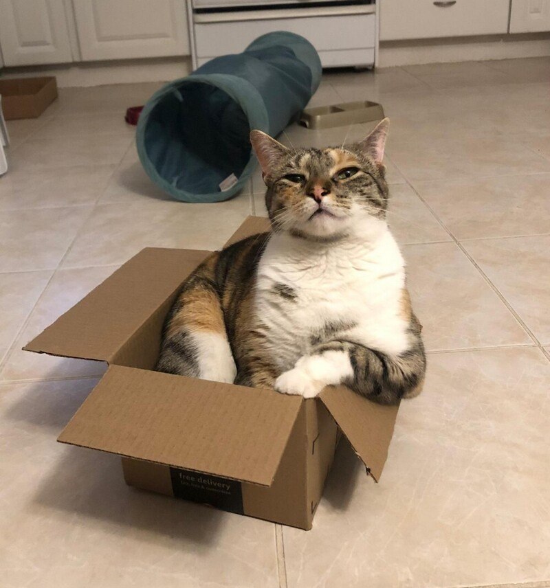 -   !  ....  !))