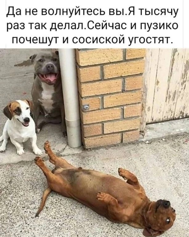  - 20  2023  18:40
