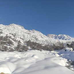 ������, ������, 43 ����