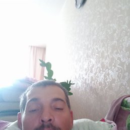 , , 54 