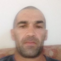 , , 46 