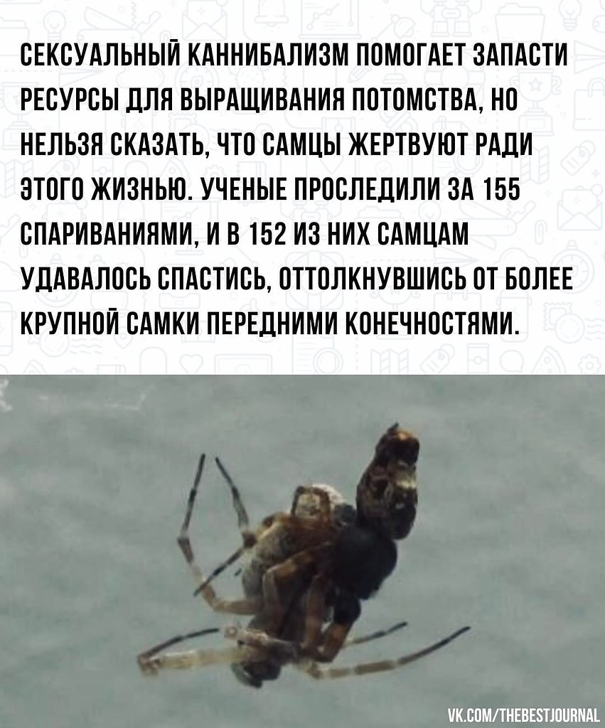 BEST | , ,  - 30  2022  02:08 - 3