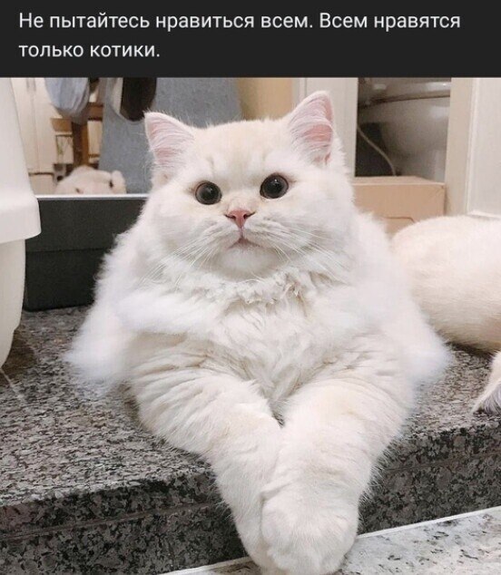   - 5  2022  16:07