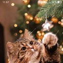 ���� ����, �������� - ��������� 2 ������� 2023 � ������ ���� ����������