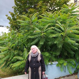 ���� ������, �����, 61 ��� - ��������� 23 ������� 2022