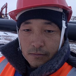 ������, ������, 33 ����