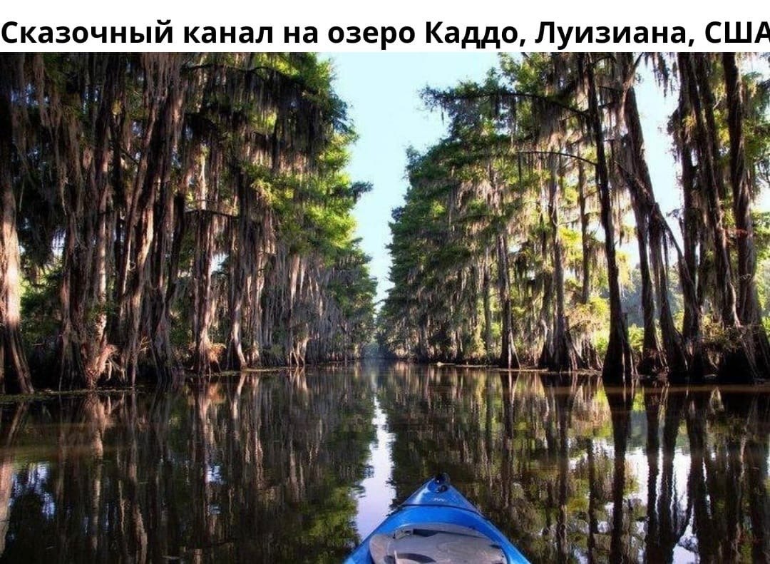-  .