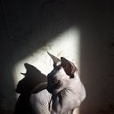 ���� ����� ���������, ����������, 60 ��� - ��������� 3 ������� 2022 � ������ ���� ����������