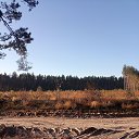 ���� �����, ���� - ��������� 10 ������� 2022 � ������ ���� ����������