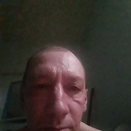 , 53 , 