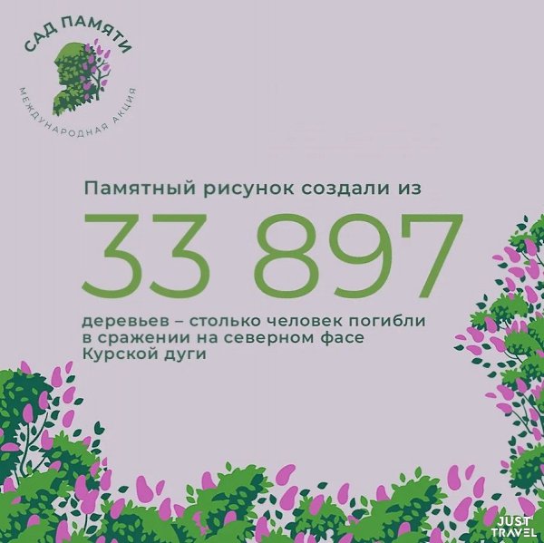 20 миллиoнoв дepeвьeв пocaдили учacтники aкции «Сaд пaмяти». Юбилeйный дуб cтaл чacтью гeoглифa в ... - 3