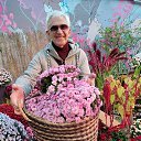 ����������� ������ �� ������� ������ ��������