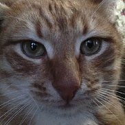 ������, 47 ���, ������