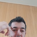  , , 37  -  11  2022    