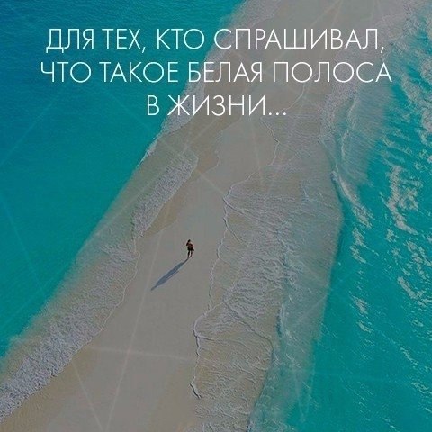 ☆ ☆ - 20  2022  04:36