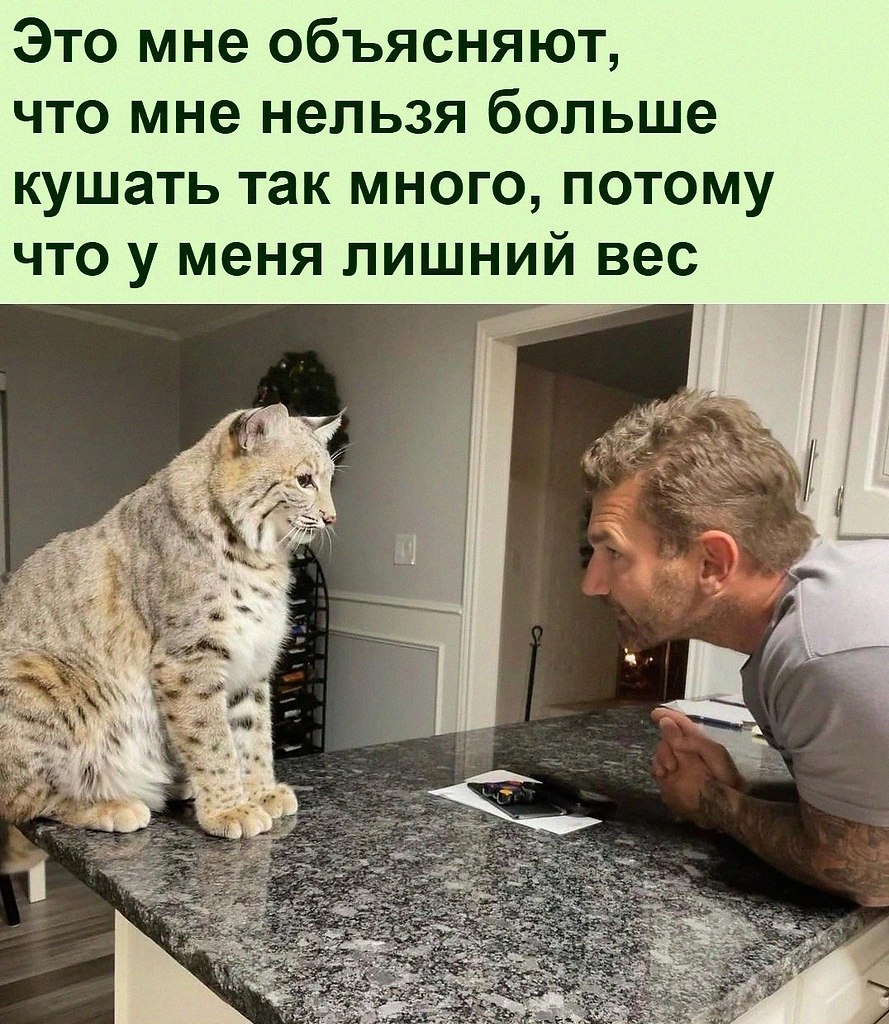   :D - 4  2022  16:43