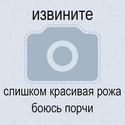 �����, ��������, 86 ���