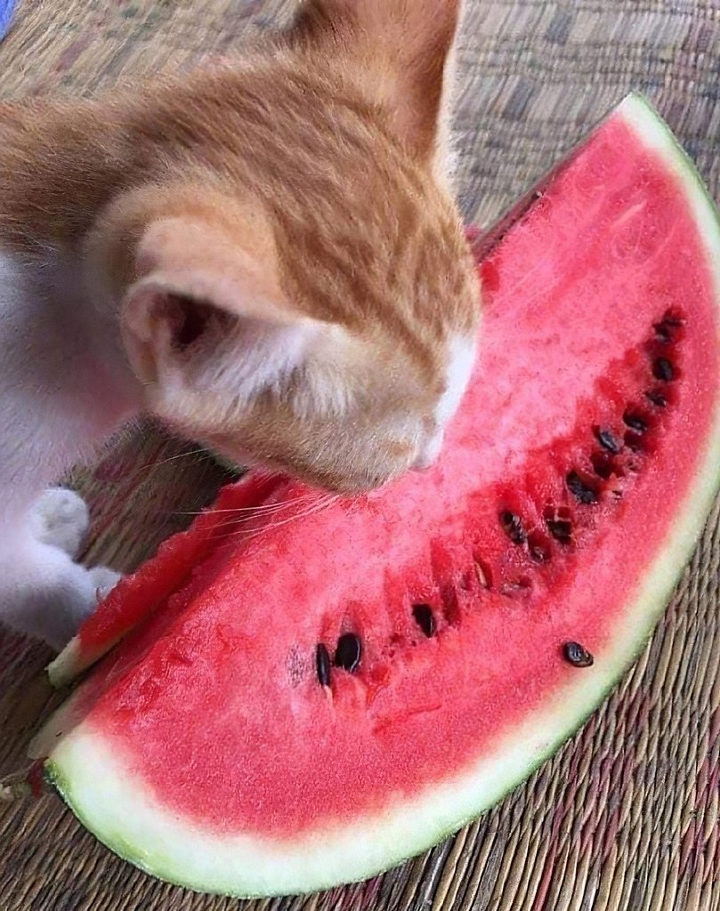 : .    - 2