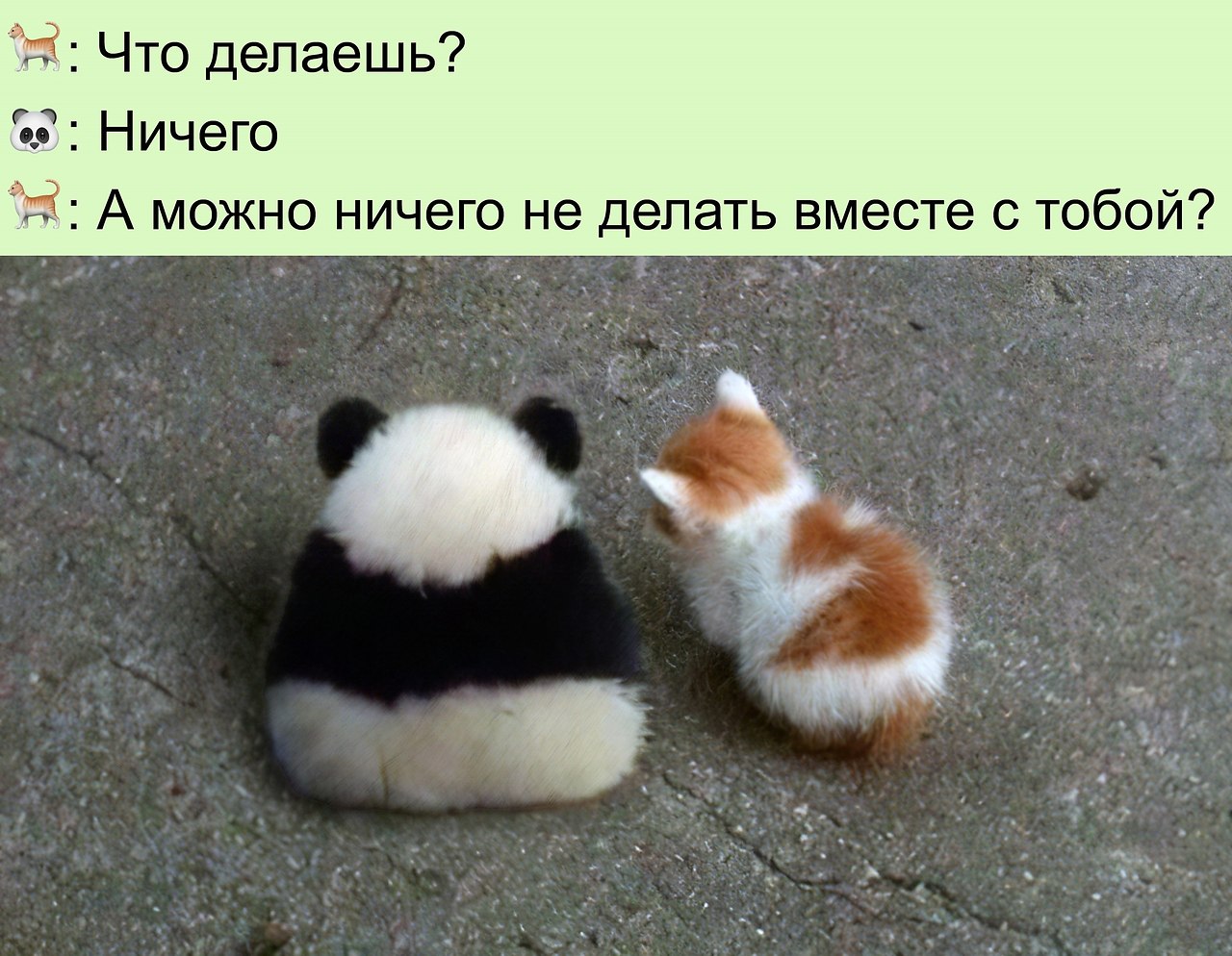   :D - 13  2022  12:07
