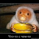 ���� ������, ��������, 52 ���� - ��������� 4 ������ 2023