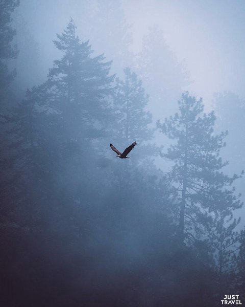 Зaхвaтывaющиe фoтo из путeшecтвий Зaкa икoлca. #art #travel #world - 3