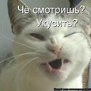 ���� �����, ������ - ��������� 25 �������� 2022 � ������ ���� ����������
