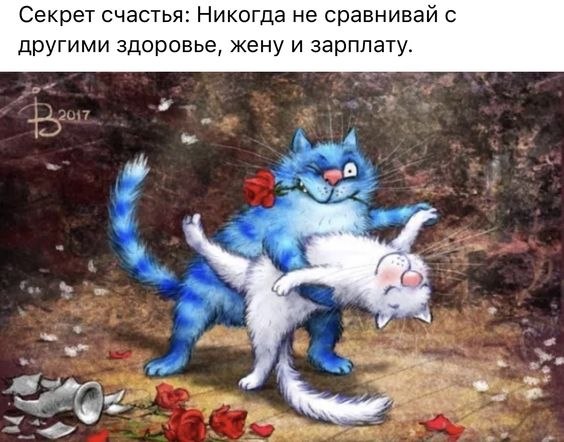   - 13  2022  08:13