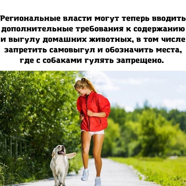 Скоро появятся новые требования к содержанию и выгулу домашних животных! WORLD - 2