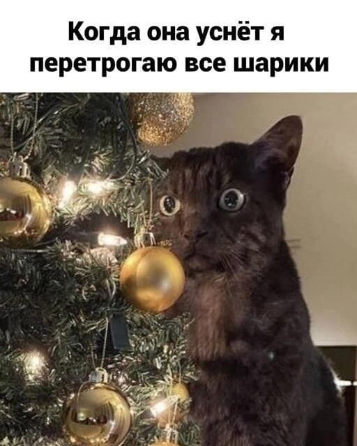   - 30  2022  09:11