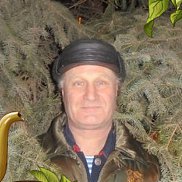, 62 , 