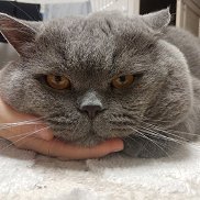 , 28 , 