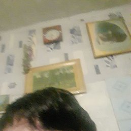 ���, ������, 61 ���