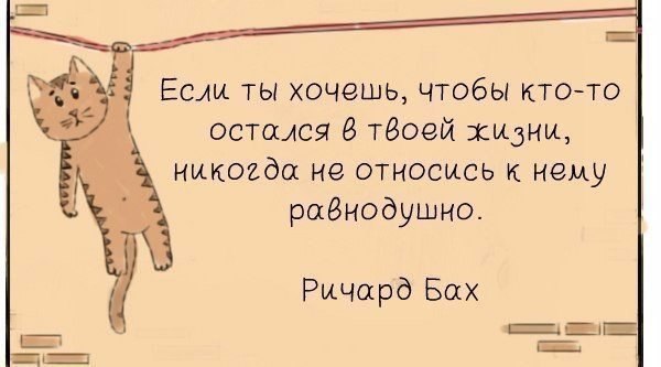   - 15  2022  12:21