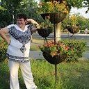 ���� ���������, ������, 54 ���� - ��������� 20 ������� 2023