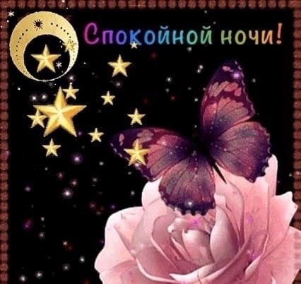   ,    . - 14  2022  21:05