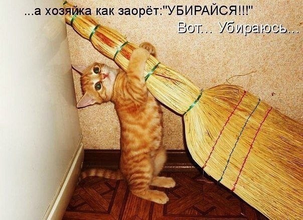    - 15  2022  16:30