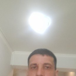 ���� �������, ����������, 41 ��� - ��������� 10 ������ 2023