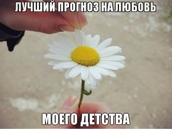 ☆☆☆  XX  ☆☆☆ - 22  2022  12:36