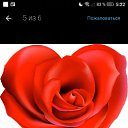 , , 56  -  22  2022