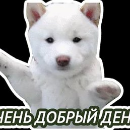 �������, ������������